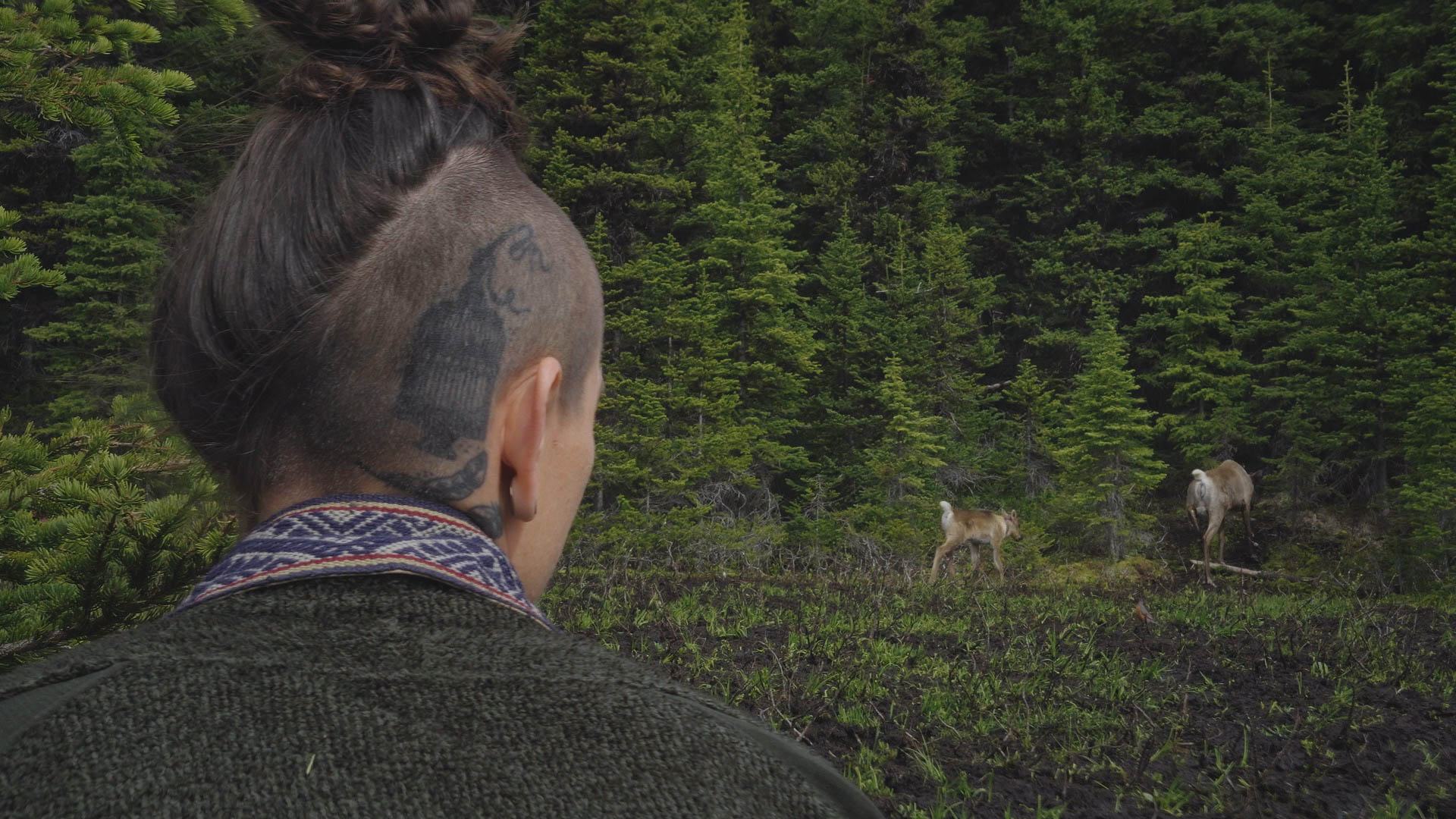 Bodewitz-Caribou_2.85.1
