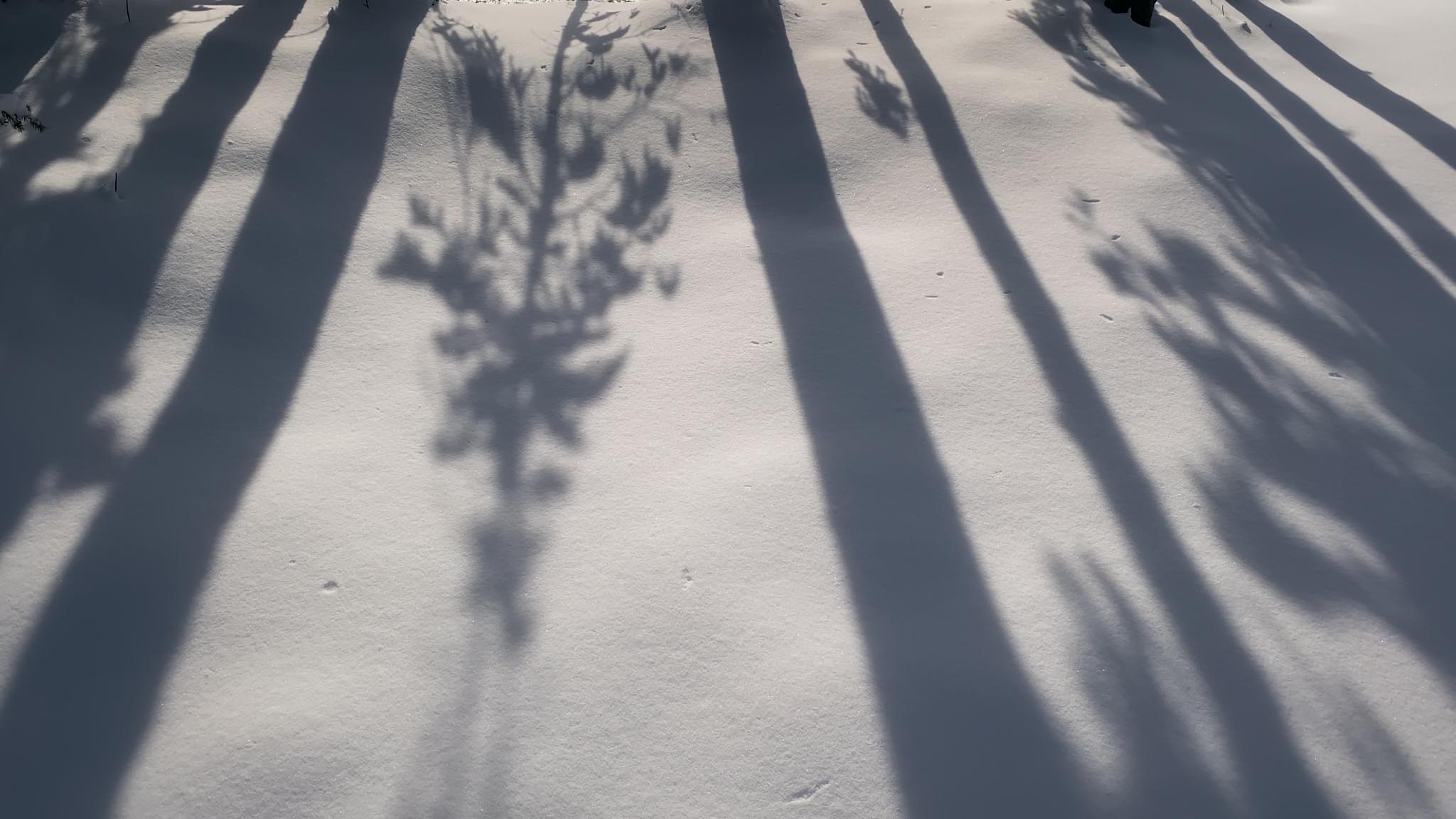 Michif_1.22.2