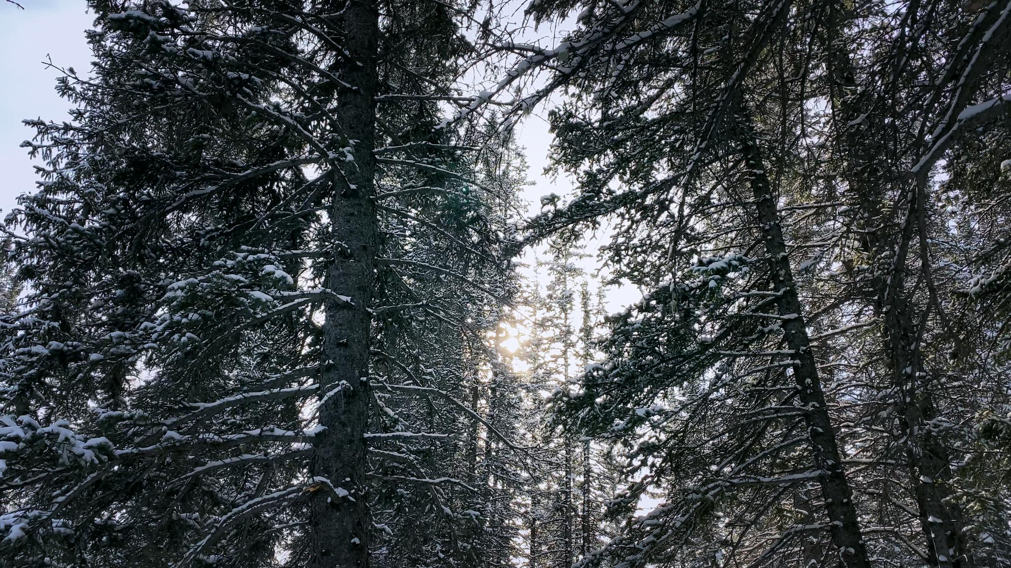 Michif_1.27.1