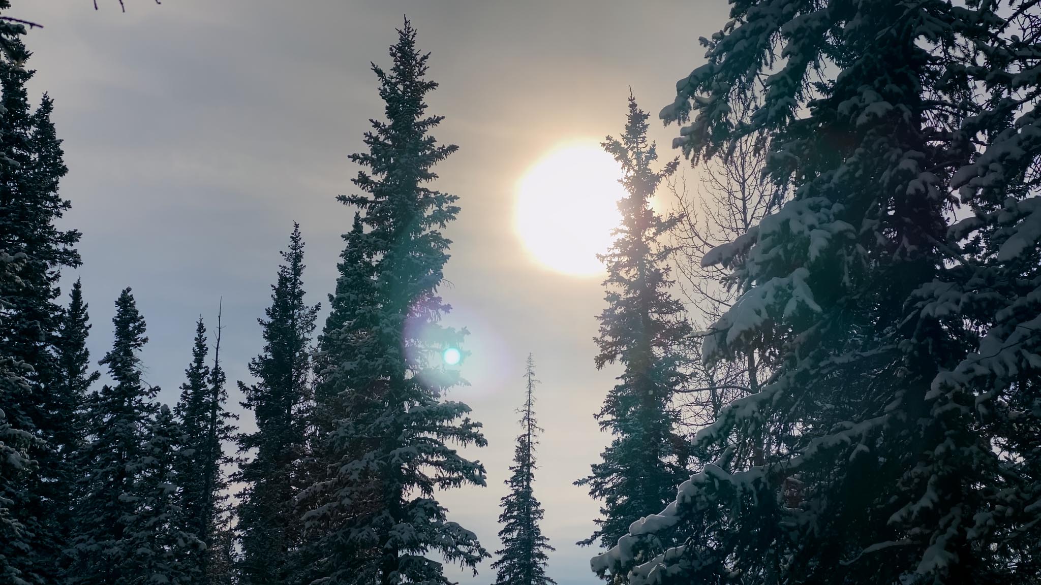Michif_1.29.2