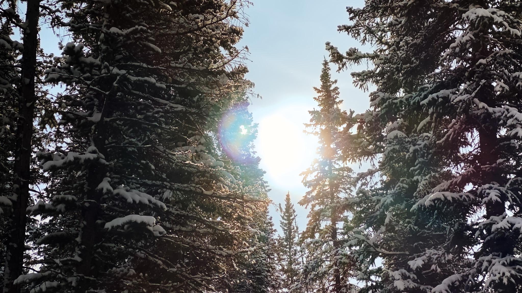 Michif_1.46.1