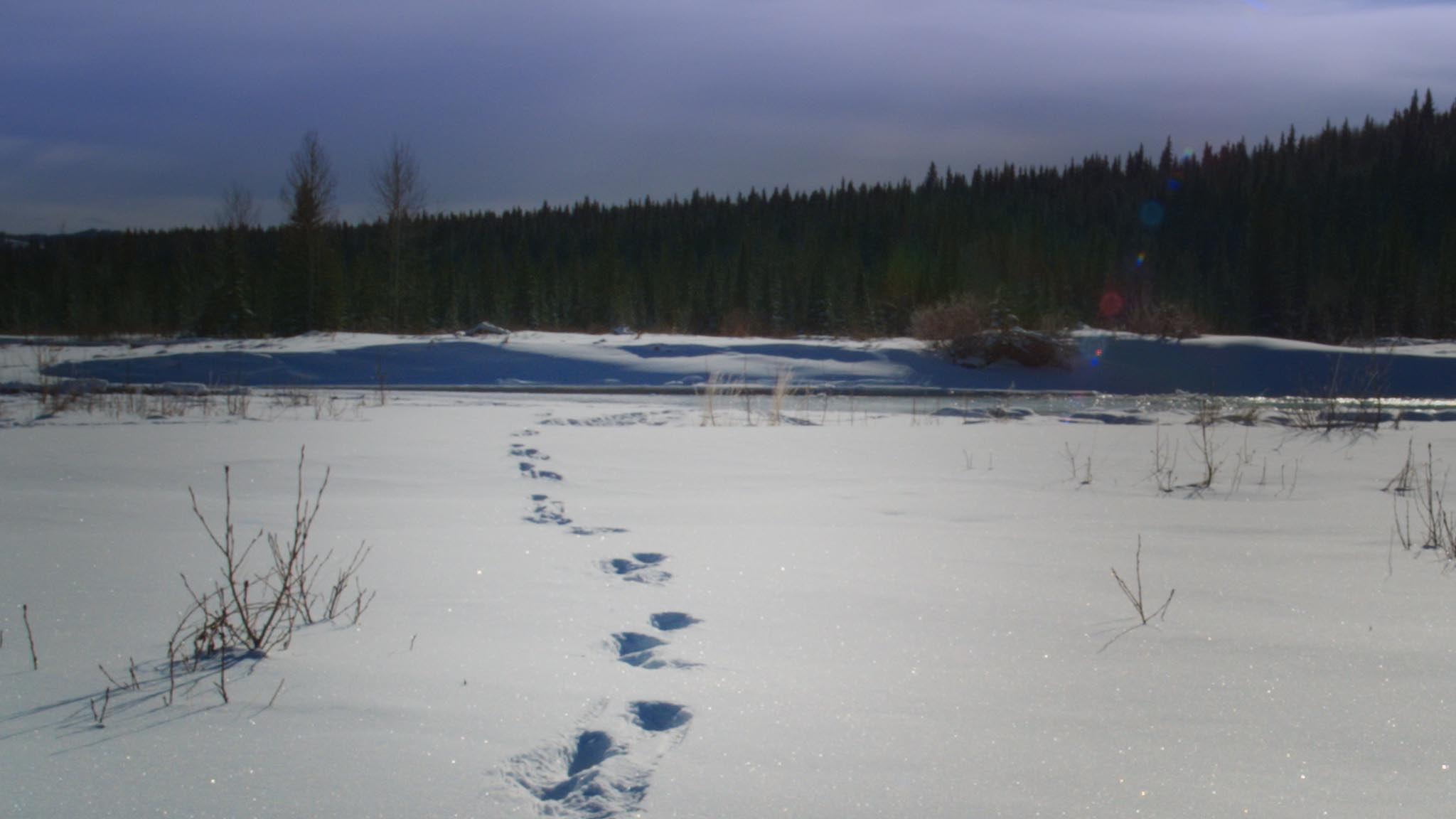 Michif_1.7.1
